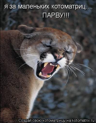 я за маленьких котоматриц.... ПАРВУ!!!... Котоматрица: я за маленьких котоматриц.... ПАРВУ!!!