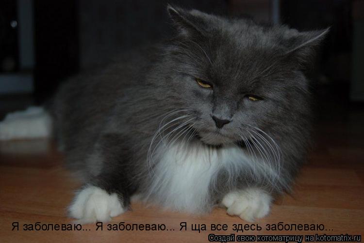 Я заболеваю... Я заболеваю... Я ща все здесь заболеваю...... Котоматрица: Я заболеваю... Я заболеваю... Я ща все здесь заболеваю...