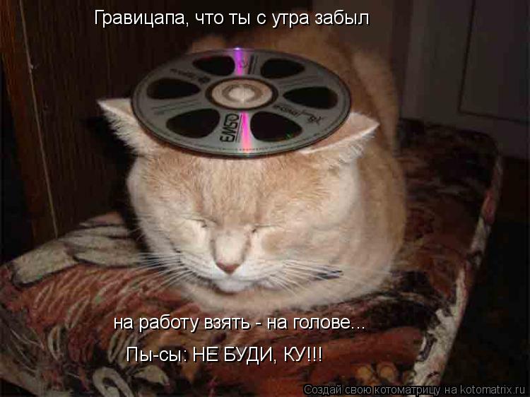 Гравицапа, что ты с утра забыл на работу взять - на голове... Пы-сы: НЕ БУДИ, КУ!!!... Котоматрица: Гравицапа, что ты с утра забыл на работу взять - на голове... Пы-сы: НЕ БУДИ, КУ!!!