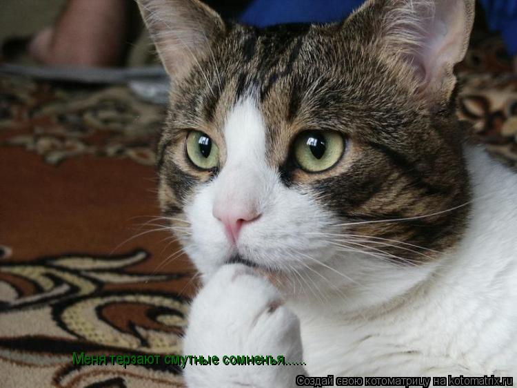 Котоматрица: Меня терзают смутные сомненъя......