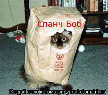 Спанч Боб... Котоматрица: Спанч Боб