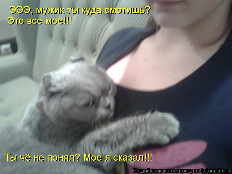 ЭЭЭ, мужик ты куда смотишь? Это все мое!!! Ты чё не понял? Мое я сказал!!!... Котоматрица: ЭЭЭ, мужик ты куда смотишь? Это все мое!!! Ты чё не понял? Мое я сказал!!!