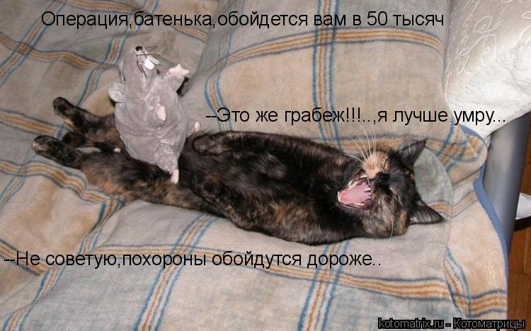 Операция,батенька,обойдется вам в 50 тысяч --Это же грабеж!!!..,я лучше умру... --Не советую,похороны... Котоматрица: Операция,батенька,обойдется вам в 50 тысяч --Это же грабеж!!!..,я лучше умру... --Не советую,похороны обойдутся дороже..