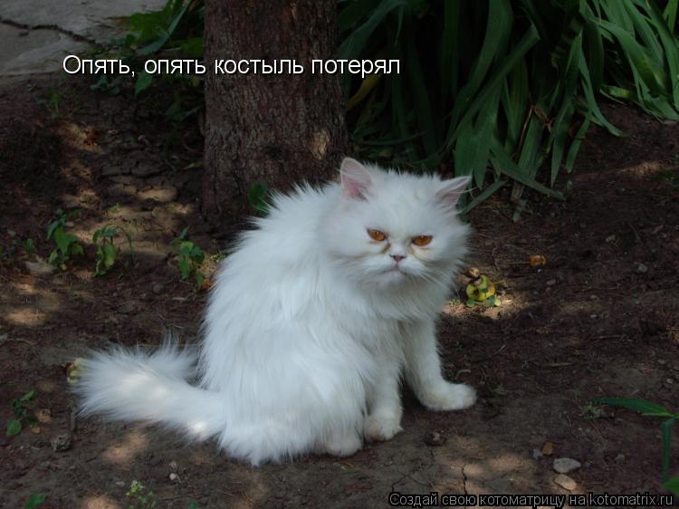 Опять, опять костыль потерял... Котоматрица: Опять, опять костыль потерял