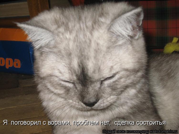 Я поговорил с ворами, проблем нет, сделка состоитья... Котоматрица: Я поговорил с ворами, проблем нет, сделка состоитья