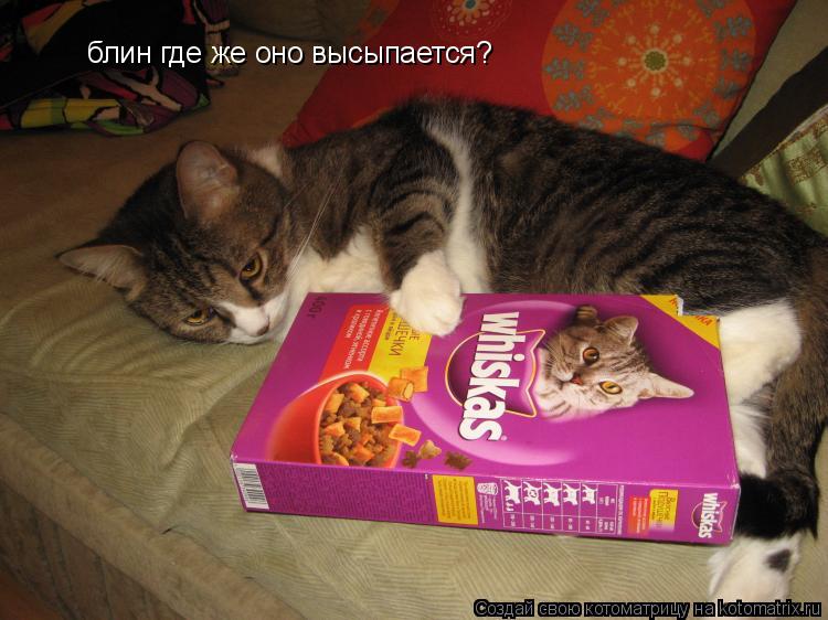 блин где же оно высыпается?... Котоматрица: блин где же оно высыпается?