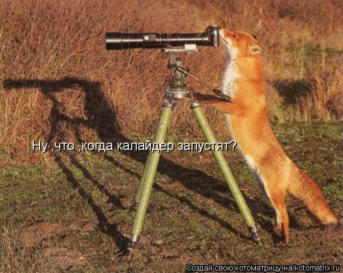 Ну ,что ,когда калайдер запустят?... Котоматрица: Ну ,что ,когда калайдер запустят?