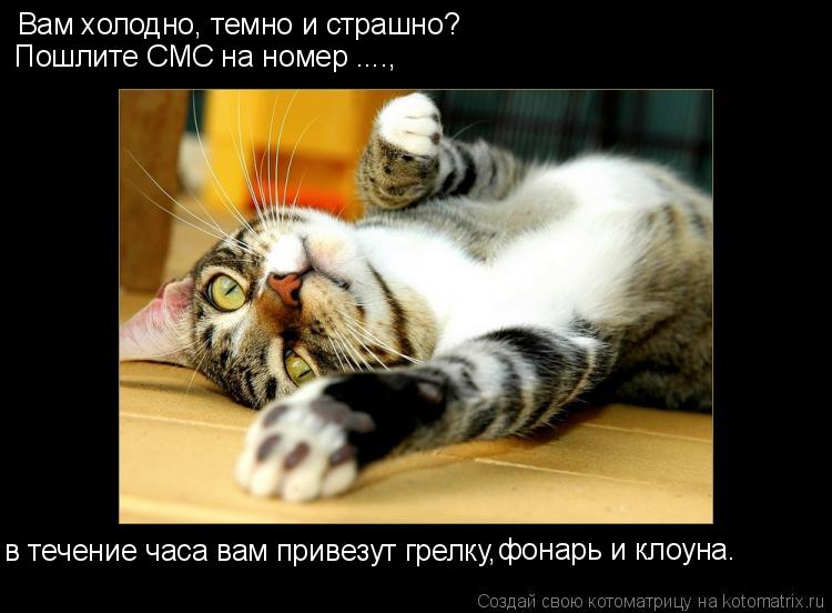 Вам холодно, темно и страшно? Пошлите СМС на номер ...., в течение часа вам привезут грелку, фонарь... Котоматрица: Вам холодно, темно и страшно? Пошлите СМС на номер ...., в течение часа вам привезут грелку, фонарь и клоуна.