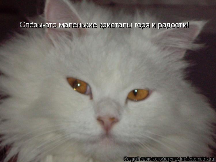 Слёзы-это маленькие кристалы горя и радости!... Котоматрица: Слёзы-это маленькие кристалы горя и радости!