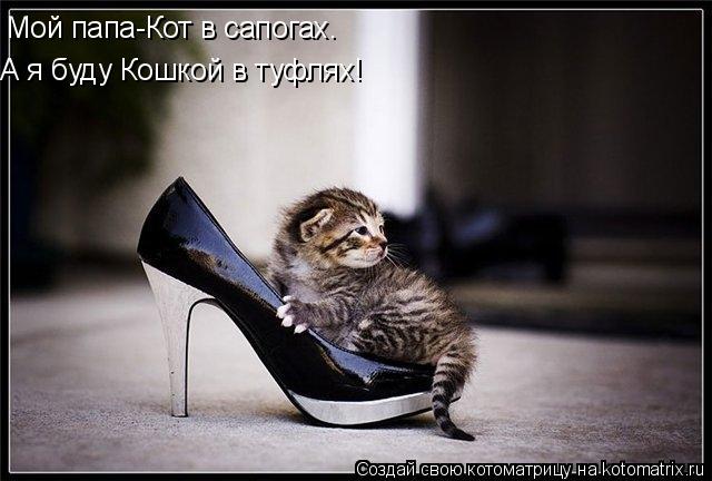 Мой папа-Кот в сапогах. А я буду Кошкой в туфлях!... Котоматрица: Мой папа-Кот в сапогах. А я буду Кошкой в туфлях!
