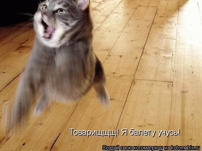 Товарищщщ! Я балету учусь!... Котоматрица: Товарищщщ! Я балету учусь!