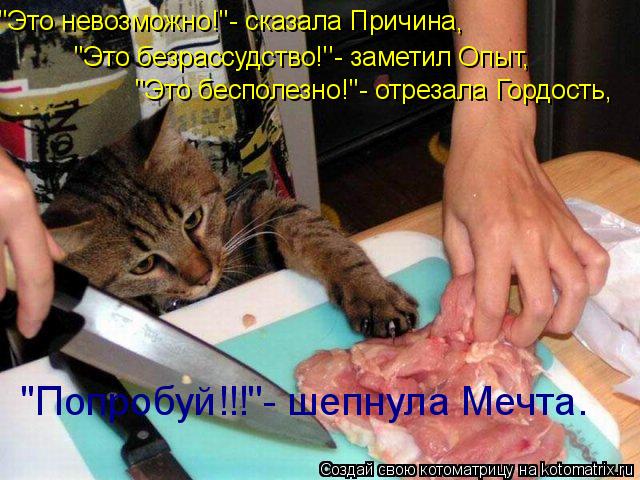 Котоматрица: 'Это невозможно!'- сказала Причина, 'Это безрассудство!'- заметил Опыт, 'Это бесполезно!'- отрезала Гордость, 'Попробуй!!!'- шепнула Мечта.