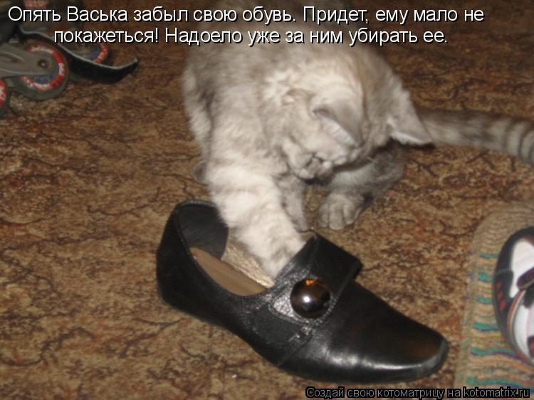 Котоматрица: Опять Васька забыл свою обувь. Придет, ему мало не покажеться! Надоело уже за ним убирать ее.