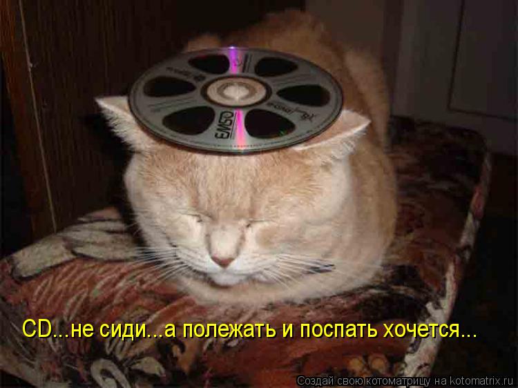 CD...не сиди...а полежать и поспать хочется...... Котоматрица: CD...не сиди...а полежать и поспать хочется...