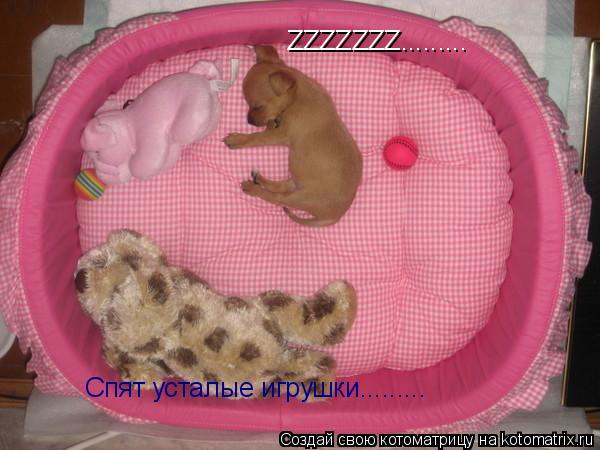 Спят усталые игрушки......... ZZZZZZZ............ Котоматрица: Спят усталые игрушки......... ZZZZZZZ.........