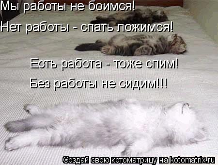 Мы работы не боимся! Нет работы - спать ложимся! Есть работа - тоже спим! Без работы не сидим!!!... Котоматрица: Мы работы не боимся! Нет работы - спать ложимся! Есть работа - тоже спим! Без работы не сидим!!!
