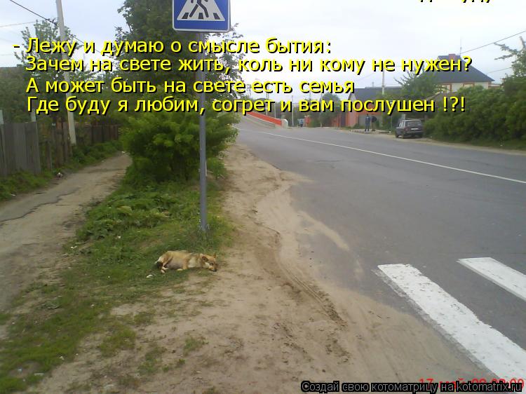- Лежу и думаю о смысле бытия: А может быть на свете есть семья Где буду я любим, согрет и вам послуш... Котоматрица: - Лежу и думаю о смысле бытия: А может быть на свете есть семья Где буду я любим, согрет и вам послушен !?! Где буду я любим, согрет и вам послуше