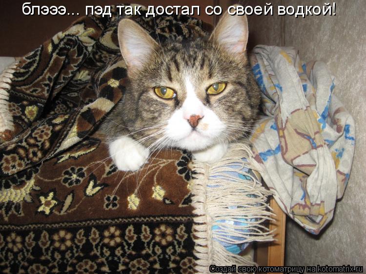 блэээ... пэд так достал со своей водкой!... Котоматрица: блэээ... пэд так достал со своей водкой!