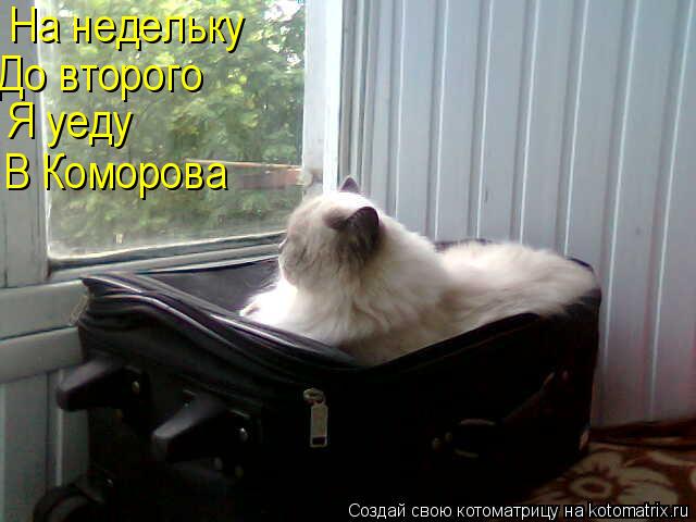 На недельку До второго Я уеду В Коморова... Котоматрица: На недельку До второго Я уеду В Коморова