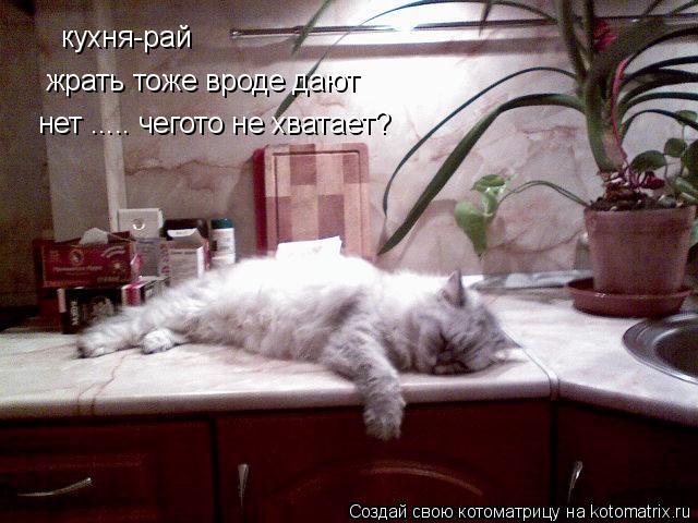 кухня-рай жрать тоже вроде дают нет ..... чегото не хватает?... Котоматрица: кухня-рай жрать тоже вроде дают нет ..... чегото не хватает?