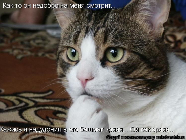 Как-то он недобро на меня смотрит... Кажись я надудонил в его башмак зряяя... Ой как зряяя...... Котоматрица: Как-то он недобро на меня смотрит... Кажись я надудонил в его башмак зряяя... Ой как зряяя...