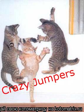 Crazy Jumpers Crazy Jumpers... Котоматрица: Crazy Jumpers Crazy Jumpers