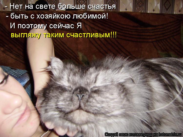 Котоматрица: - Нет на свете больше счастья - быть с хозяйкою любимой! И поэтому сейчас Я выгляжу таким счастливым!!!