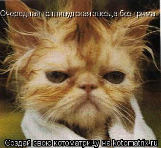 Очередная голливудская звезда без грима...... Котоматрица: Очередная голливудская звезда без грима...