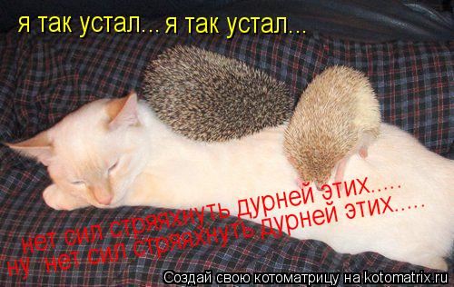 я так устал... я так устал... нет сил стряяхнуть дурней этих..... нет сил стряяхнуть дурней этих........ Котоматрица: я так устал... я так устал... нет сил стряяхнуть дурней этих..... нет сил стряяхнуть дурней этих..... ну