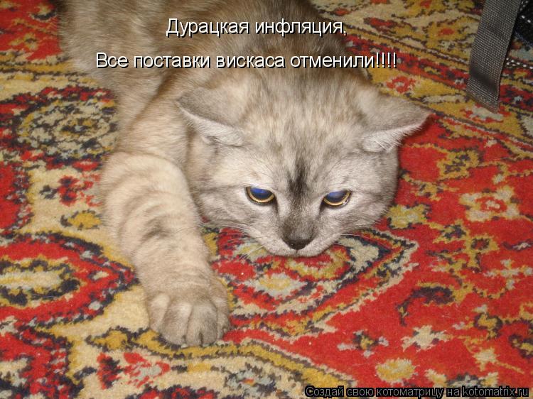 Дурацкая инфляция, Дурацкая инфляция, Все поставки вискаса отменили!!!!... Котоматрица: Дурацкая инфляция, Дурацкая инфляция, Все поставки вискаса отменили!!!!