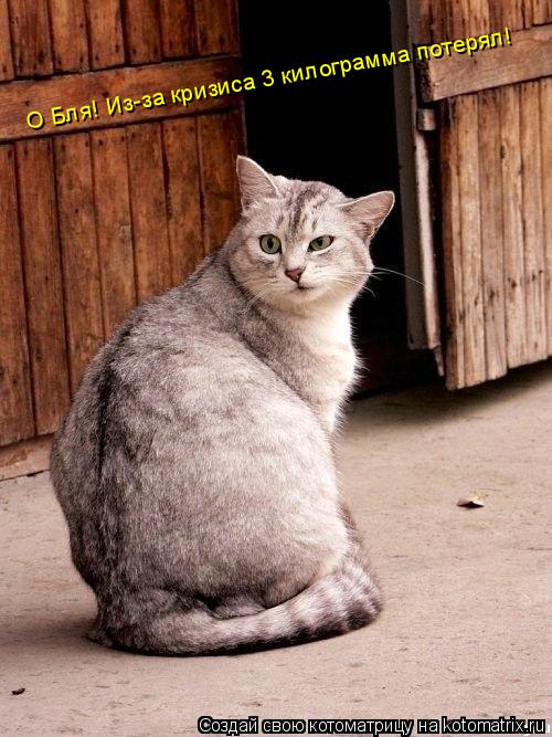 О Бля! Из-за кризиса 3 килограмма потерял!... Котоматрица: О Бля! Из-за кризиса 3 килограмма потерял!