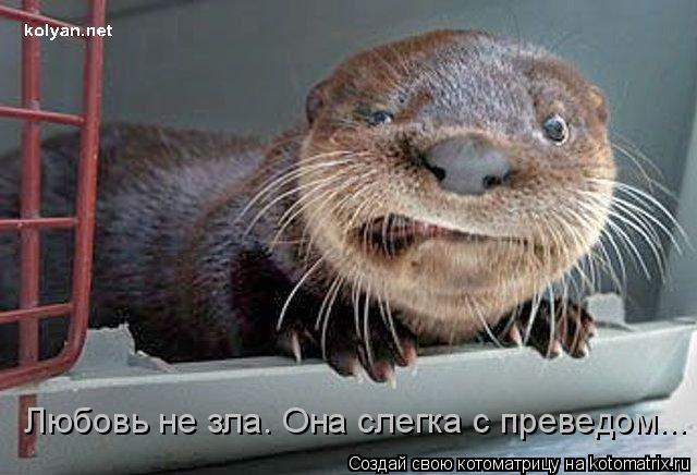 Любовь не зла. Она слегка с преведом...... Котоматрица: Любовь не зла. Она слегка с преведом...
