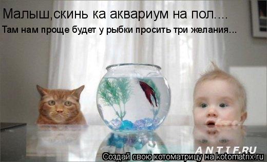 Малыш,скинь ка аквариум на пол.... Там нам проще будет у рыбки просить три желания...... Котоматрица: Малыш,скинь ка аквариум на пол.... Там нам проще будет у рыбки просить три желания...
