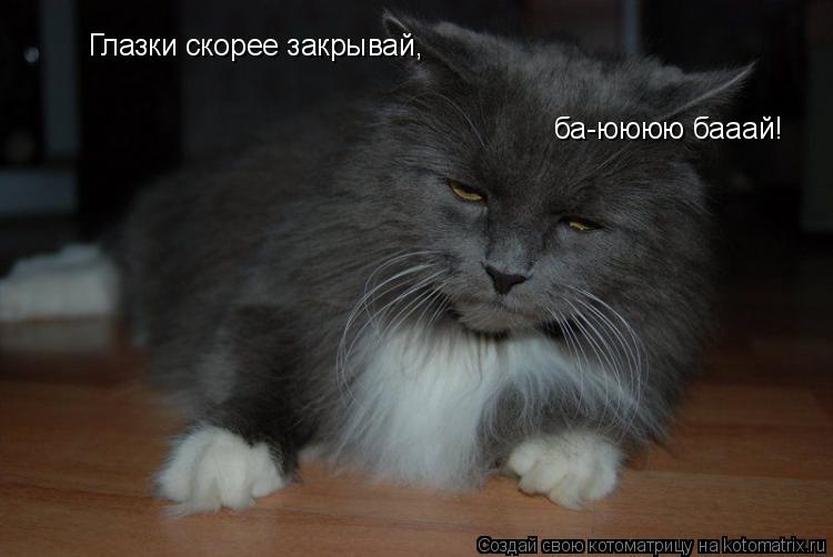 Глазки скорее закрывай, ба-юююю бааай!... Котоматрица: Глазки скорее закрывай, ба-юююю бааай!