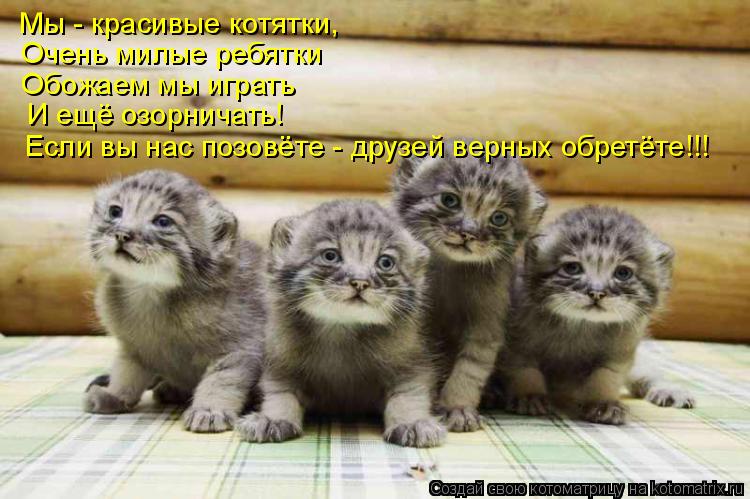 Мы - красивые котятки, Очень милые ребятки Обожаем мы играть И ещё озорничать! Если вы нас позовёте ... Котоматрица: Мы - красивые котятки, Очень милые ребятки Обожаем мы играть И ещё озорничать! Если вы нас позовёте - друзей верных обретёте!!!
