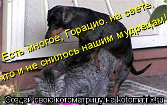 Котоматрица: Есть многое, Горацио, на свете, что и не снилось нашим мудрецам!