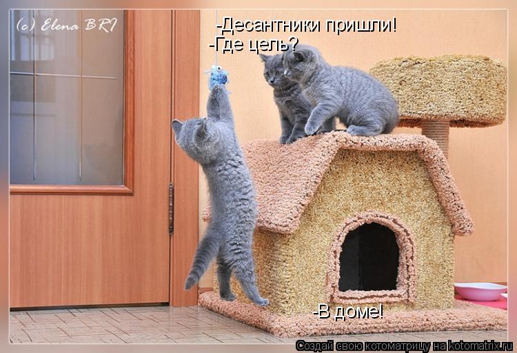 Котоматрица: -Десантники пришли! -Где цель? -В доме!