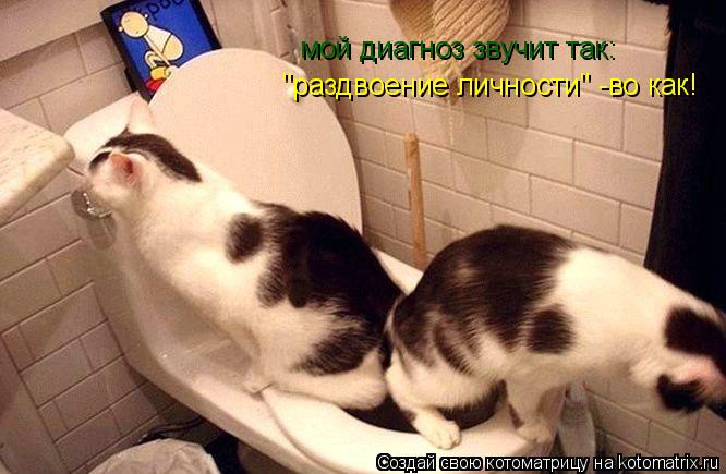 мой диагноз звучит так: "раздвоение личности" -во как!... Котоматрица: мой диагноз звучит так: "раздвоение личности" -во как!