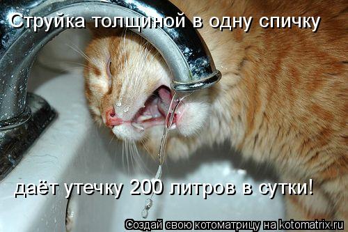 Струйка толщиной в одну спичку даёт утечку 200 литров в сутки!... Котоматрица: Струйка толщиной в одну спичку даёт утечку 200 литров в сутки!