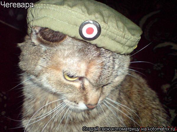 Чегевара... Котоматрица: Чегевара