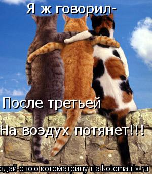Я ж говорил- После третьей На воэдух потянет!!!... Котоматрица: Я ж говорил- После третьей На воэдух потянет!!!