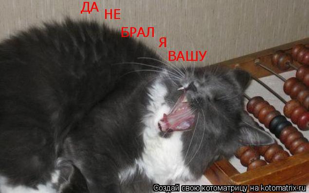 ДА НЕ БРАЛ Я ВАШУ... Котоматрица: ДА НЕ БРАЛ Я ВАШУ