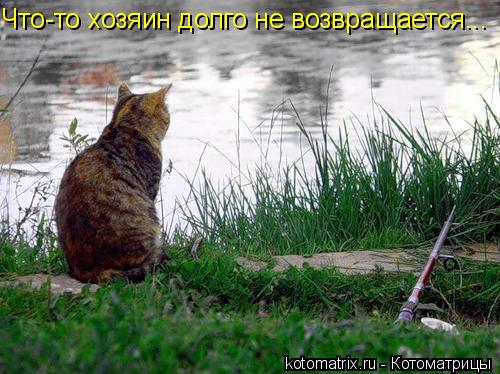 Что-то хозяин долго не возвращается...... Котоматрица: Что-то хозяин долго не возвращается...