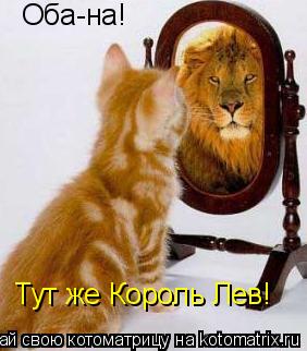 Оба-на! Тут же Король Лев!... Котоматрица: Оба-на! Тут же Король Лев!