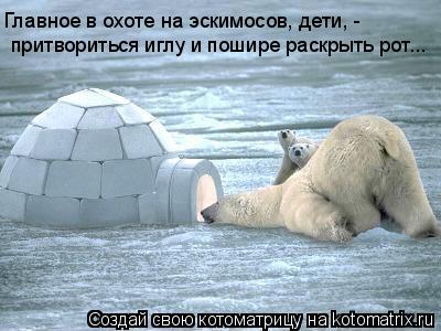 Главное в охоте на эскимосов, дети, - притвориться иглу и пошире раскрыть рот...... Котоматрица: Главное в охоте на эскимосов, дети, - притвориться иглу и пошире раскрыть рот...