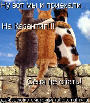 Ну вот мы и приехали... На Казантип!!! Сёня не спать!... Котоматрица: Ну вот мы и приехали... На Казантип!!! Сёня не спать!