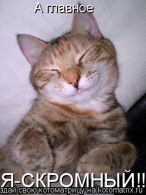 Котоматрица: А главное Я-СКРОМНЫЙ!!!
