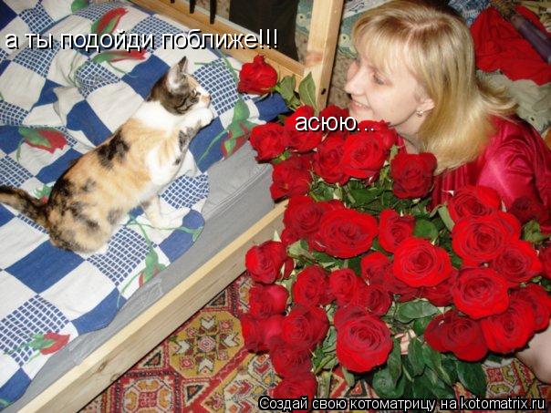 асюю... а ты подойди поближе!!!... Котоматрица: асюю... а ты подойди поближе!!!