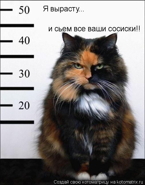 Я вырасту... и сьем все ваши сосиски!!... Котоматрица: Я вырасту... и сьем все ваши сосиски!!