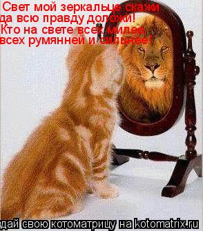 Свет мой зеркальце скажи да всю правду доложи! Кто на свете всех милее, всех румянней и сильнее!... Котоматрица: Свет мой зеркальце скажи да всю правду доложи! Кто на свете всех милее, всех румянней и сильнее!